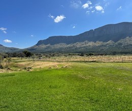 GRAZING FARM, THABAZIMBI DISTRICT [135HA]