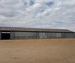 STORE / SHED +/- 890 SQM - HINTERLAND TOSCA