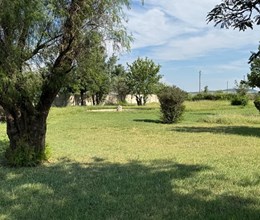LIFESTYLE FARM / GRAZING FARM - 8.5HA - WILGEBOOM - POTCHEFSTROOM 