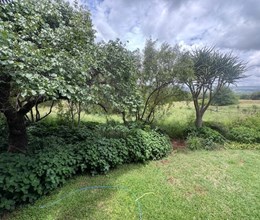 LIFESTYLE SMALL HOLDING - BUFFELSPOORT - MOOINOOI [7.1HA]
